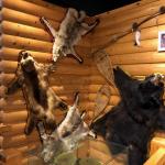 2019_OTRA_1299 (September 07, 2019)